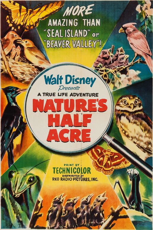 Natures half acre