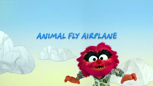 Animal Fly Airplane
