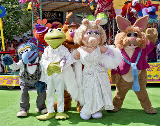 The green carpet was rolled out at Disney's MGM-Studios for the official opening of Muppet*Vision 3D; walk-around versions of Kermit, Miss Piggy, Fozzie Bear, the Great Gonzo, Bean Bunny and the Electric Mayhem were there.