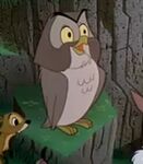 Owl