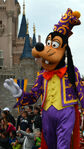 Walt-disney-world-magic-kingdom-celebrate-a-dream-come-true-parade-31