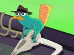 Agent P with his feet stuck inside an ox skeleton head