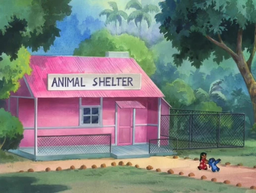 Aloha Animal Rescue