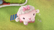 Lambie in the air2