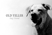 Old-yeller-lead