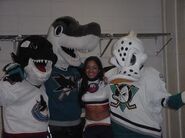 With fellow mascots Fin (left), S.J. Sharkie (second left), and a New York Islanders cheerleader.