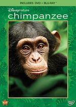 Chimpanzee