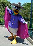 Darkwing Duck Disneyland