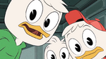 Huey, Dewey, and Louie