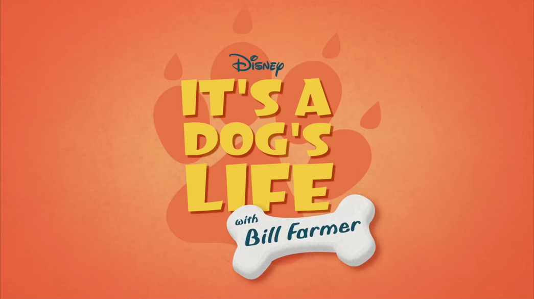It's a cheap dogs life
