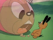 PLUTO JUNIOR.png (408 KB)