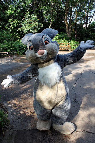 Thumper | Disney Wiki | Fandom