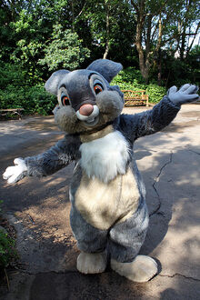 Thumper DP