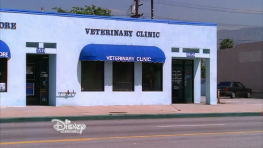 VeterinaryClinicDWaB