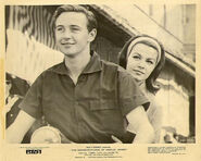 61773204.jpg (79 KB)