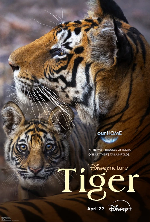 Disneynature Tiger - Poster