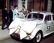 Herbie with a bow.jpg (107 KB)