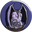 STONE GUARDIAN.png
