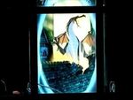 WDW Sorcerers of the Magic Kingdom--Maleficent Battle in Fantasyland - YouTube