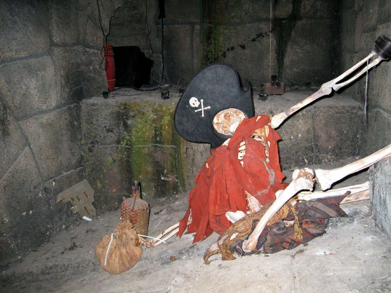 Hook Hand Skeleton Pirate