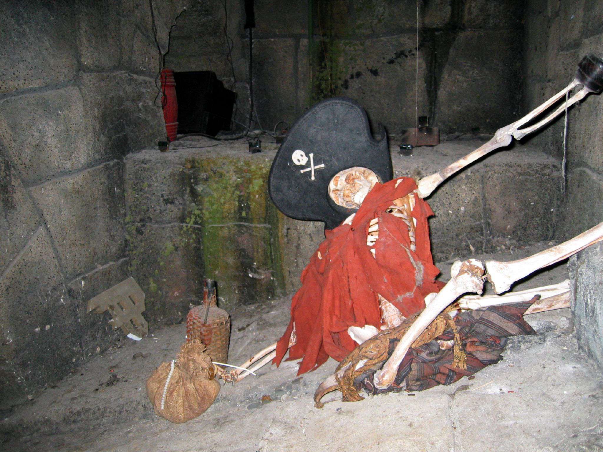 Hook Hand Skeleton Pirate, Disney Wiki