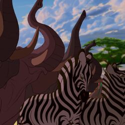 Category:Zebras | Disney Wiki | Fandom