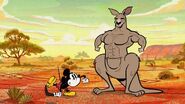 Mickey meets a buff kangaroo.