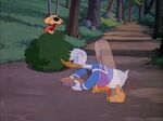 Donald and Louie the Mountain Lion