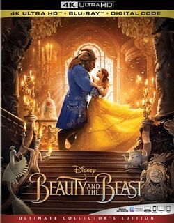 Beauty And The Beast 17 Film Gallery Disney Wiki Fandom