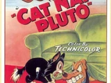 Cat Nap Pluto
