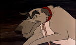 Fox-and-the-hound-disneyscreencaps.com-2484