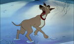 Fox-and-the-hound-disneyscreencaps.com-4059