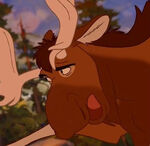 Rutt (Brother Bear franchise)