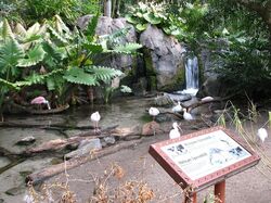 The Oasis Exhibits