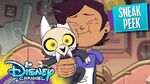 Welcome to the Owl House! NYCC Sneak Peek The Owl House Disney Channel