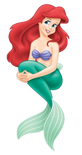 Ariel sitting