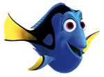 Dory-FN