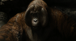 Christopher Walken as King Louie