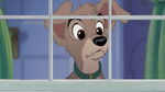 Lady-tramp-2-disneyscreencaps.com-283