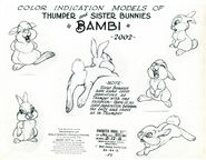 Thumper &Bunny sister modelsheet