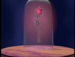 The Enchanted Rose as seen in the "Break the Spell" interactive DVD game