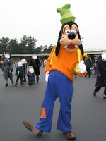 TDL Goofy