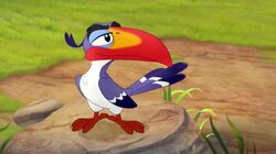 Zazu in The Lion Guard.