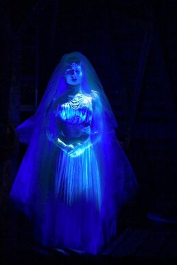 Connie5Jeff-SCLakaLifebythedrop