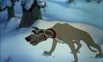 Fox-and-the-hound-disneyscreencaps.com-3952