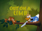 Out-on-a-Limb