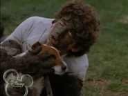 Vlcsnap-2015-08-25-00h20m00s764.png (138 KB)