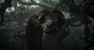 Kaa (The Jungle Book; 2016 live-action adaptation)