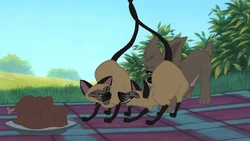 Si and Am in Lady and the Tramp II: Scamp's Adventure.