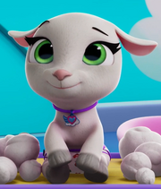Sheera looks